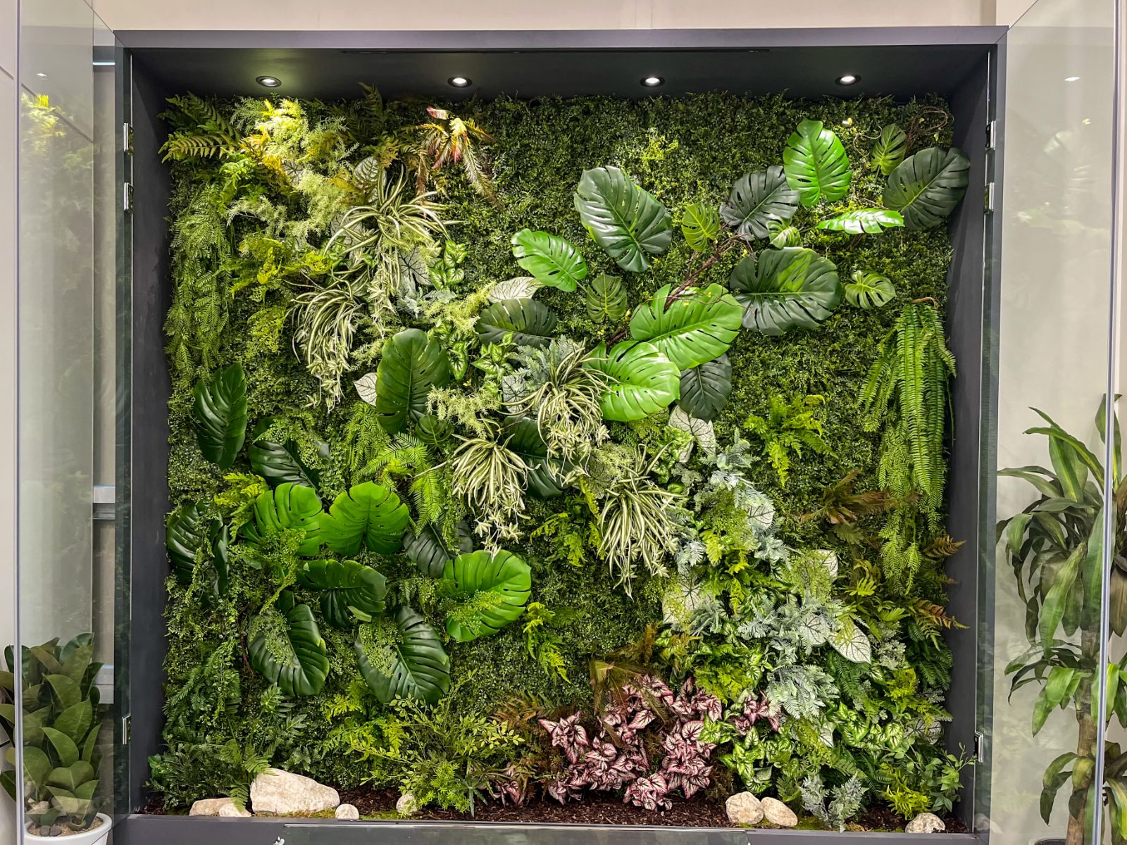 DH Lighting living plant wall with monstera and ferns