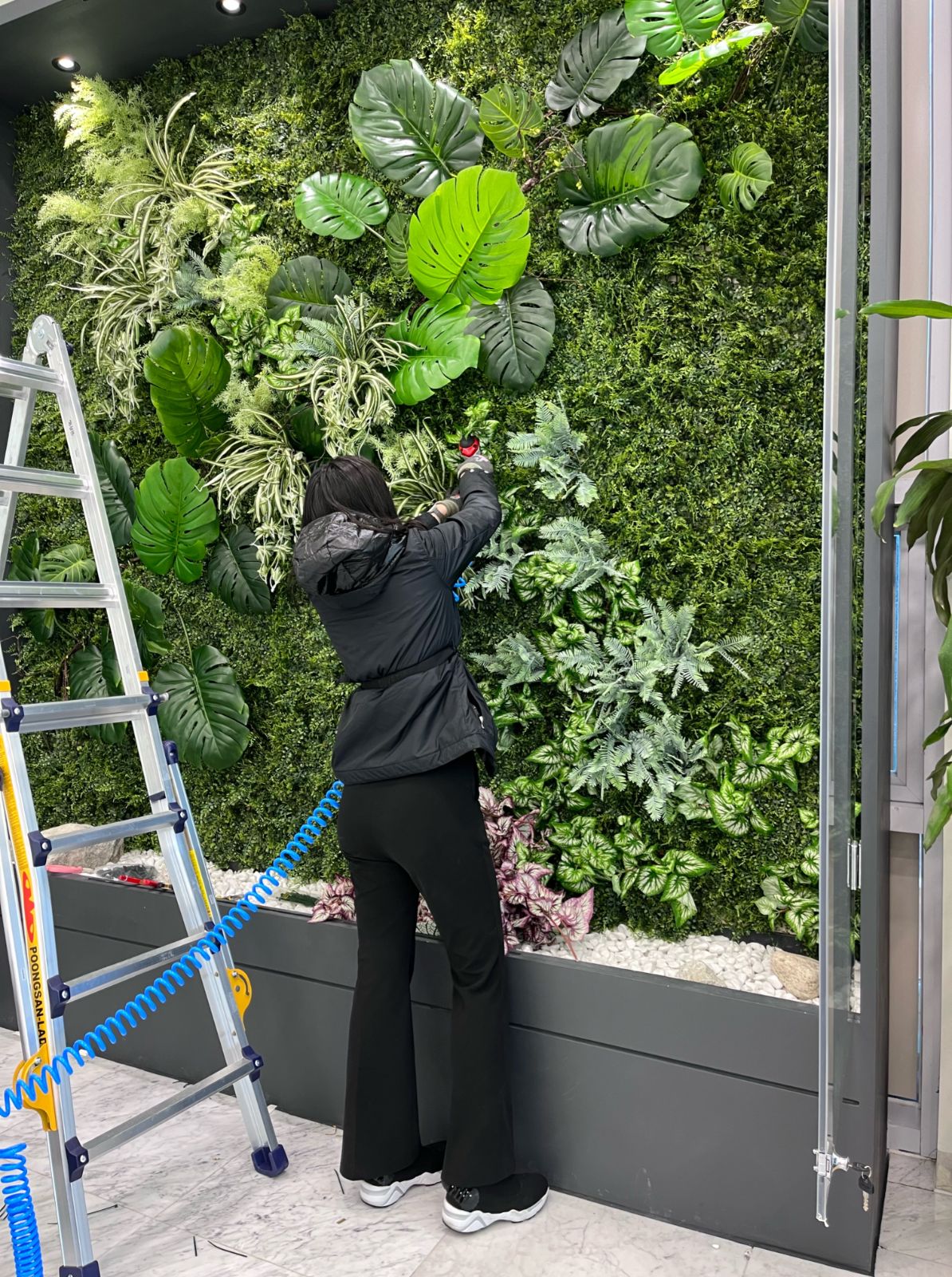 DH Lighting living plant wall with monstera and ferns