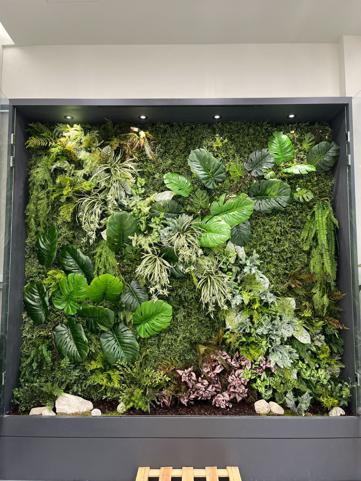 DH Lighting living plant wall with monstera and ferns