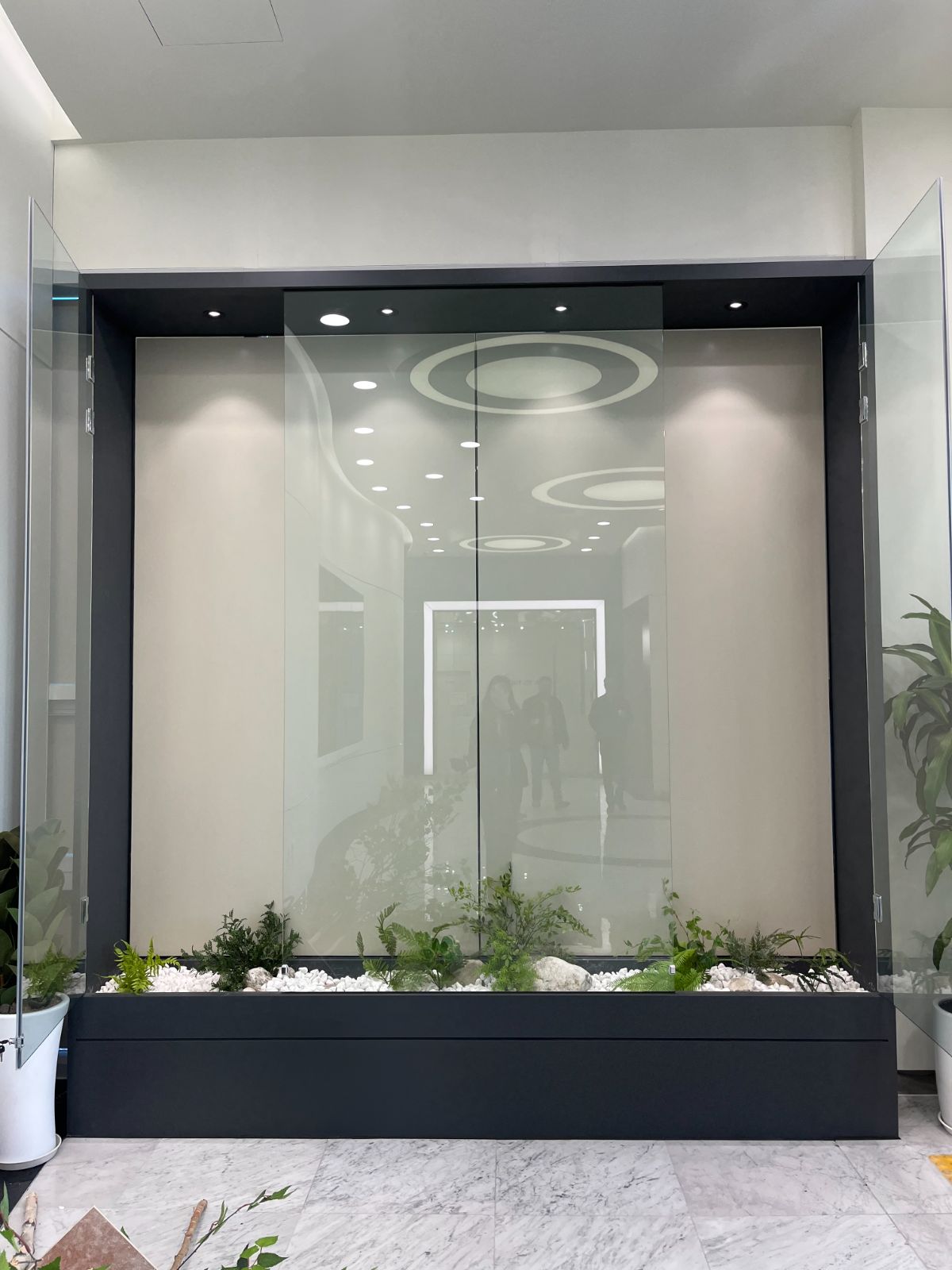 DH Lighting living plant wall with monstera and ferns