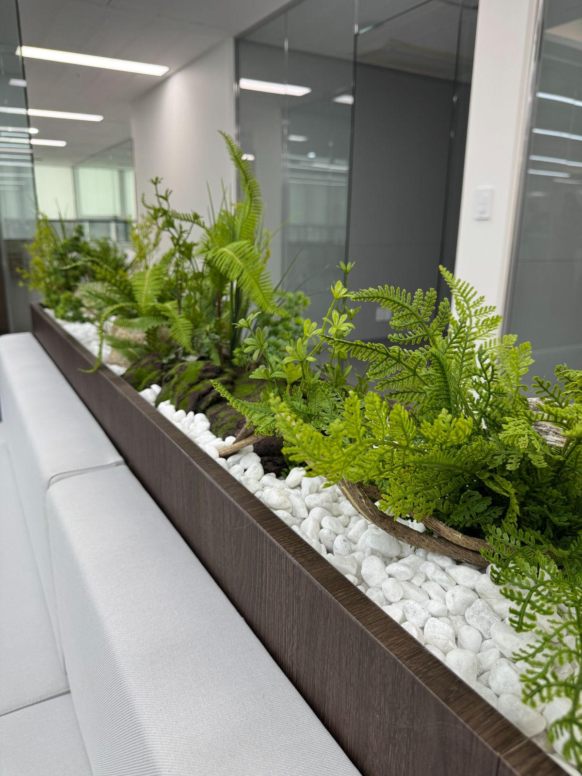Korea Culture Translation Institute planter box with ferns and stone