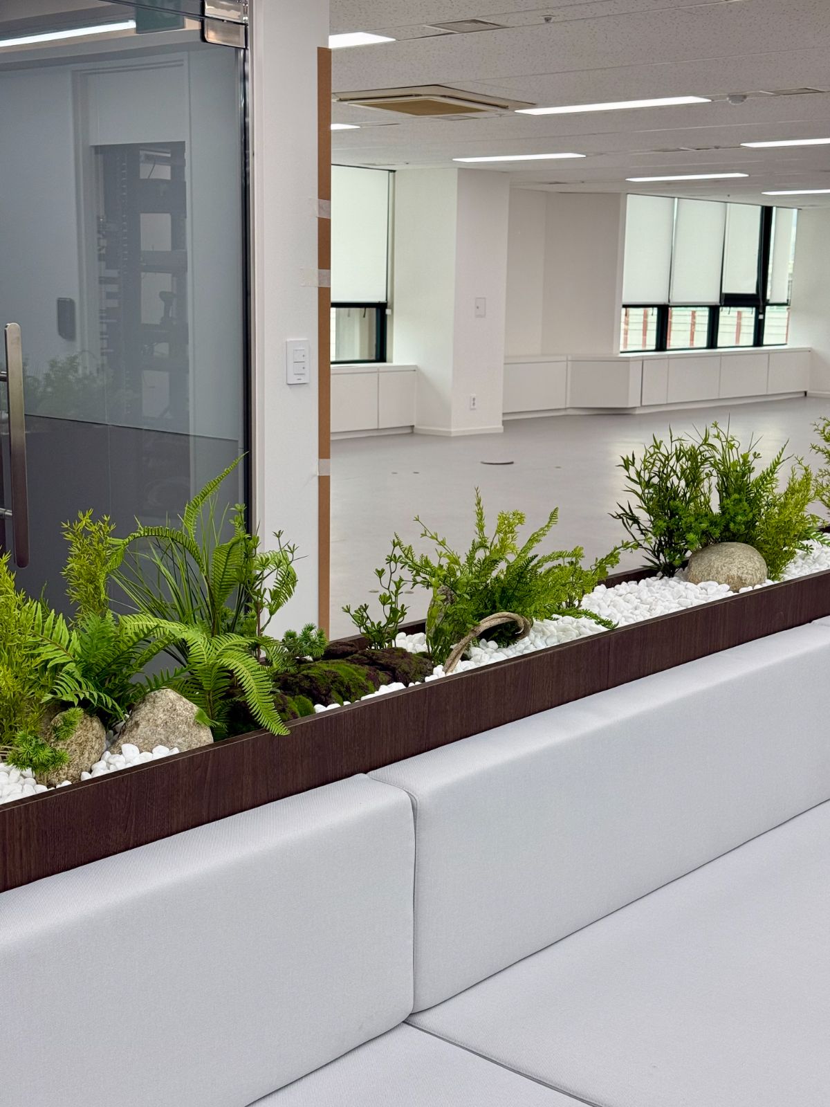 Korea Culture Translation Institute planter box with ferns and stone