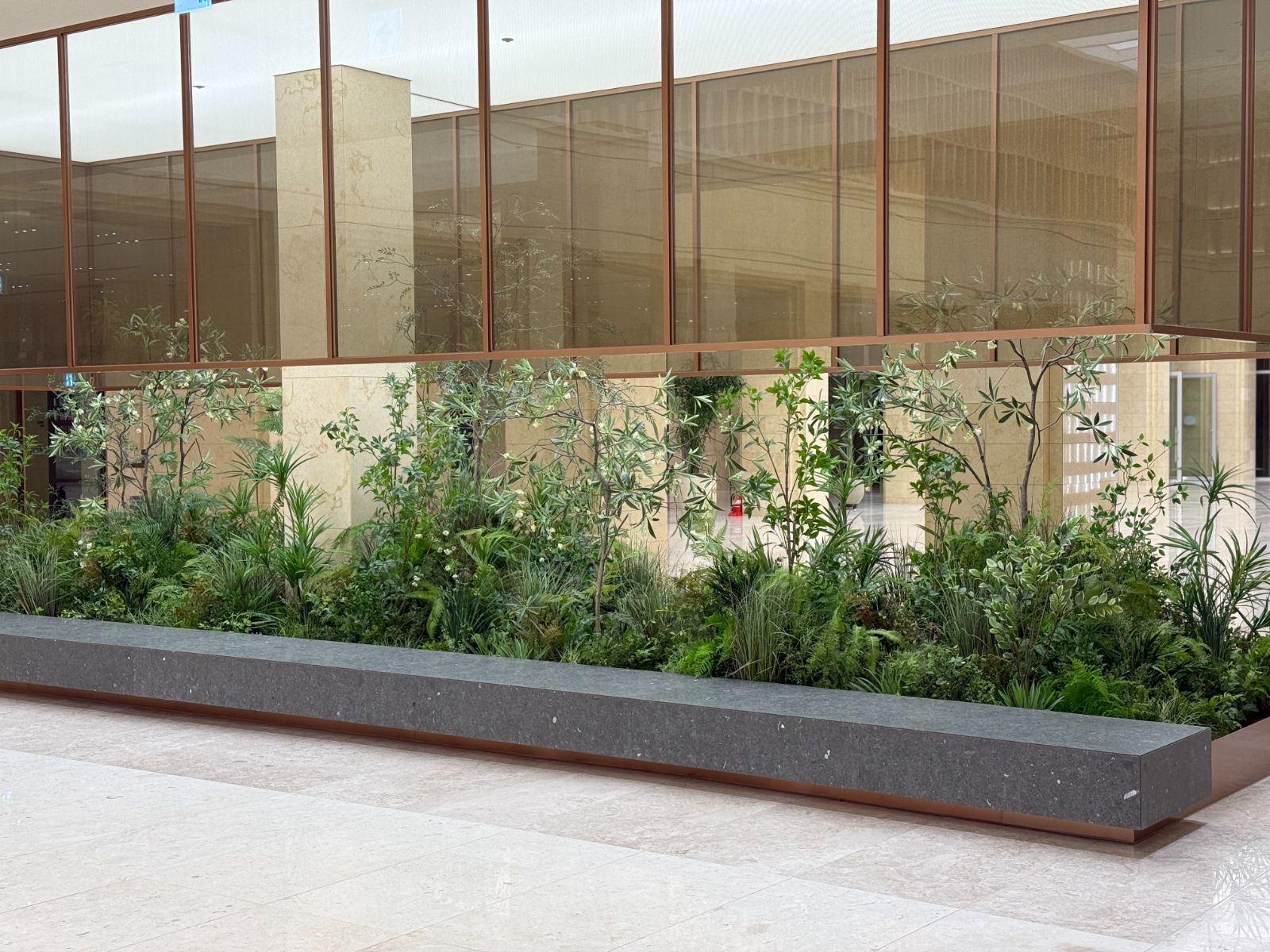 Radomus interior landscaping with ferns and grasses along a lobby planter