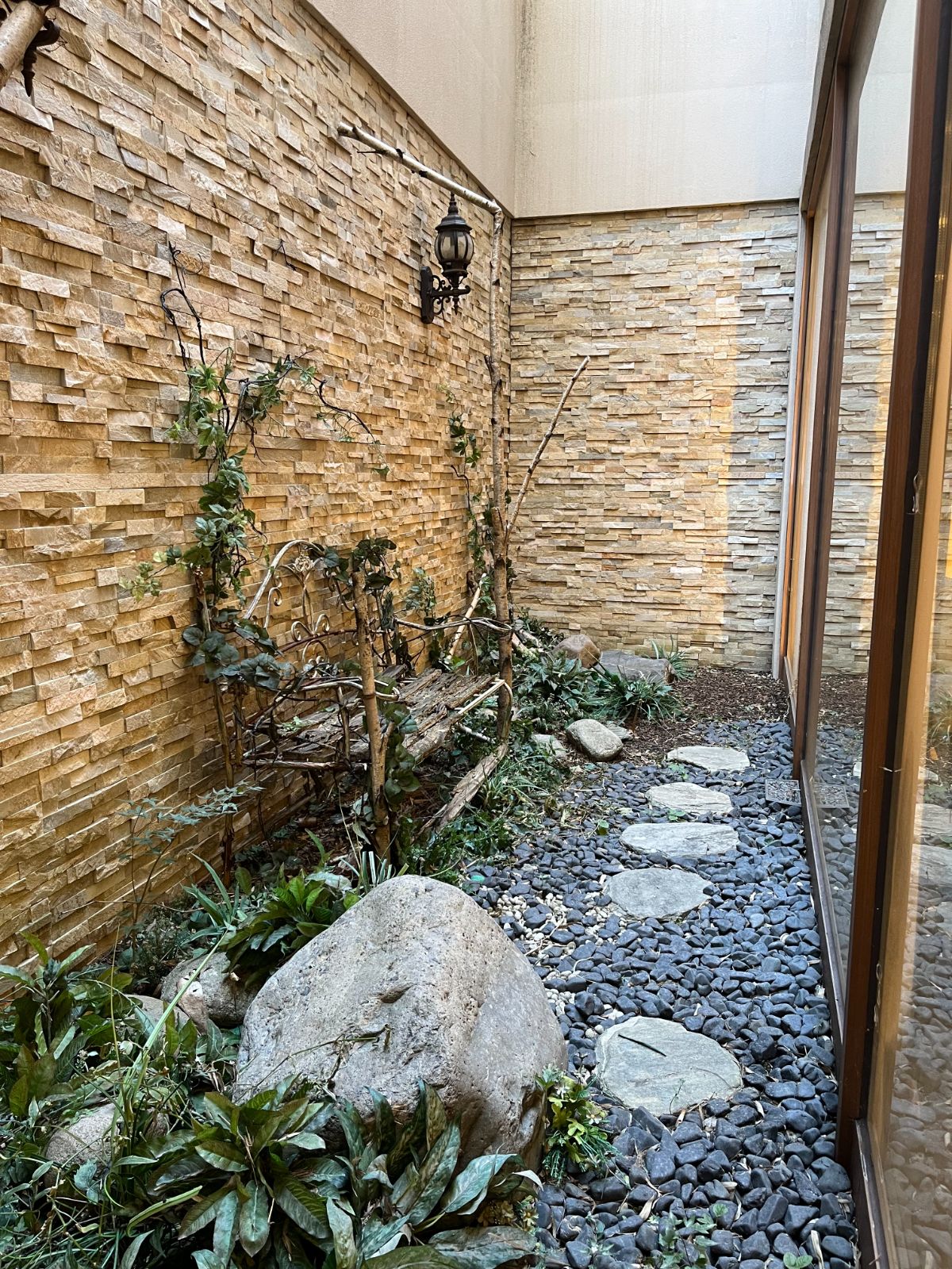 세란병원 종합검진실 정원
