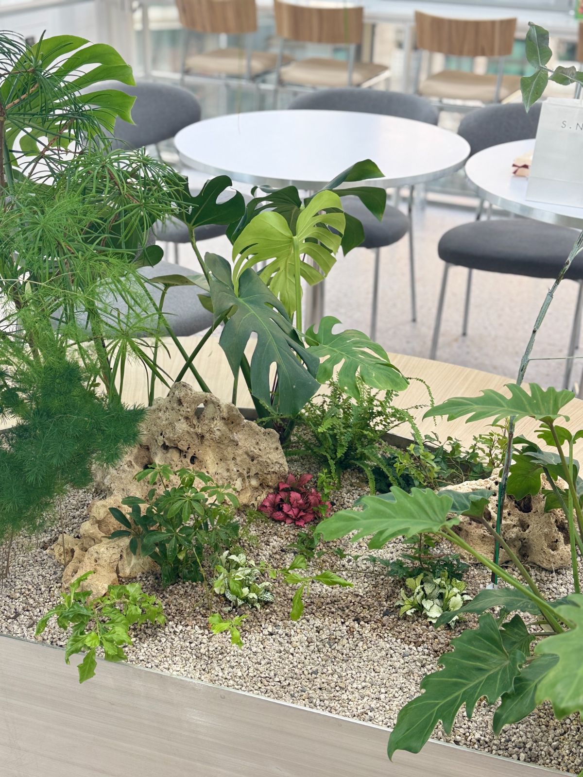 S.nature planter with monstera and palm