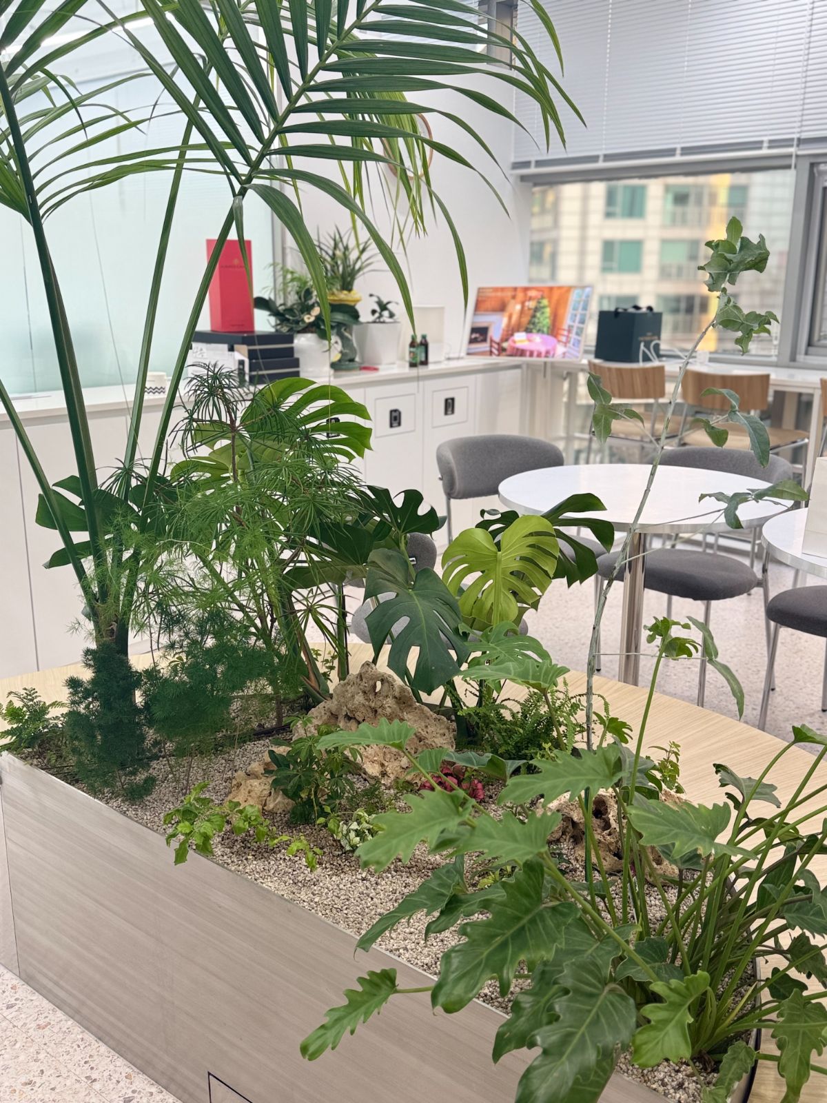 S.nature planter with monstera and palm