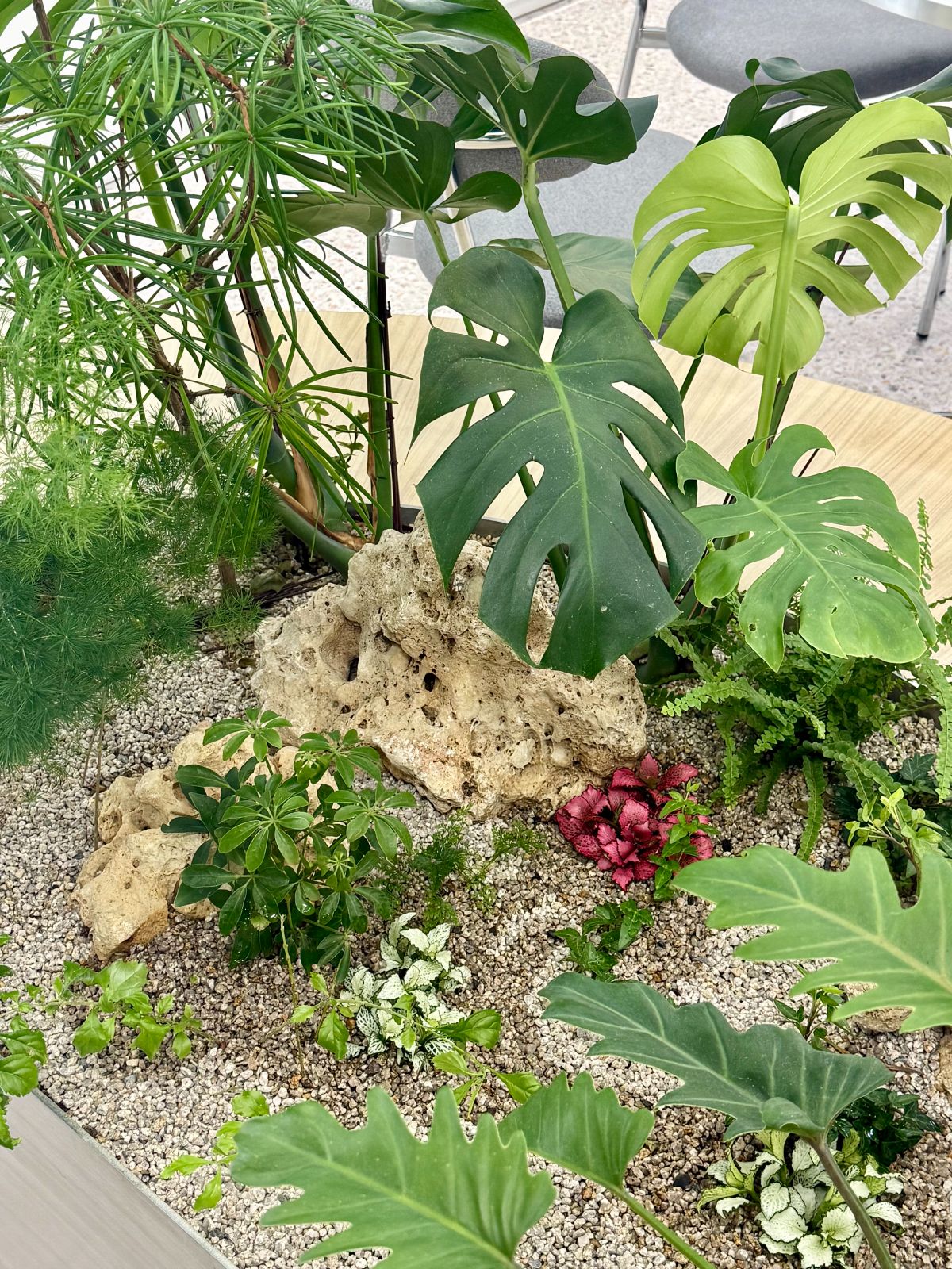 S.nature planter with monstera and palm
