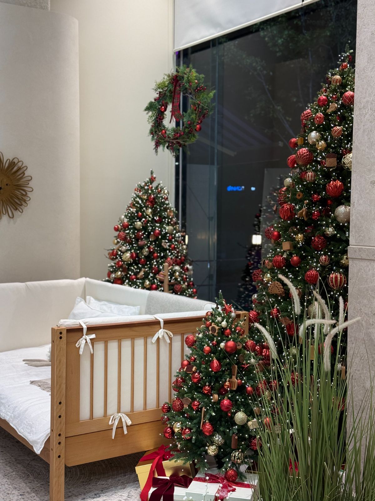 Soopsori showroom Christmas tree planting
