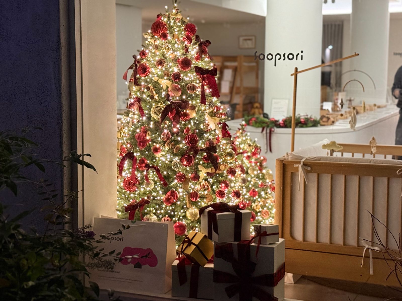 Soopsori 2025 showroom Christmas tree planting