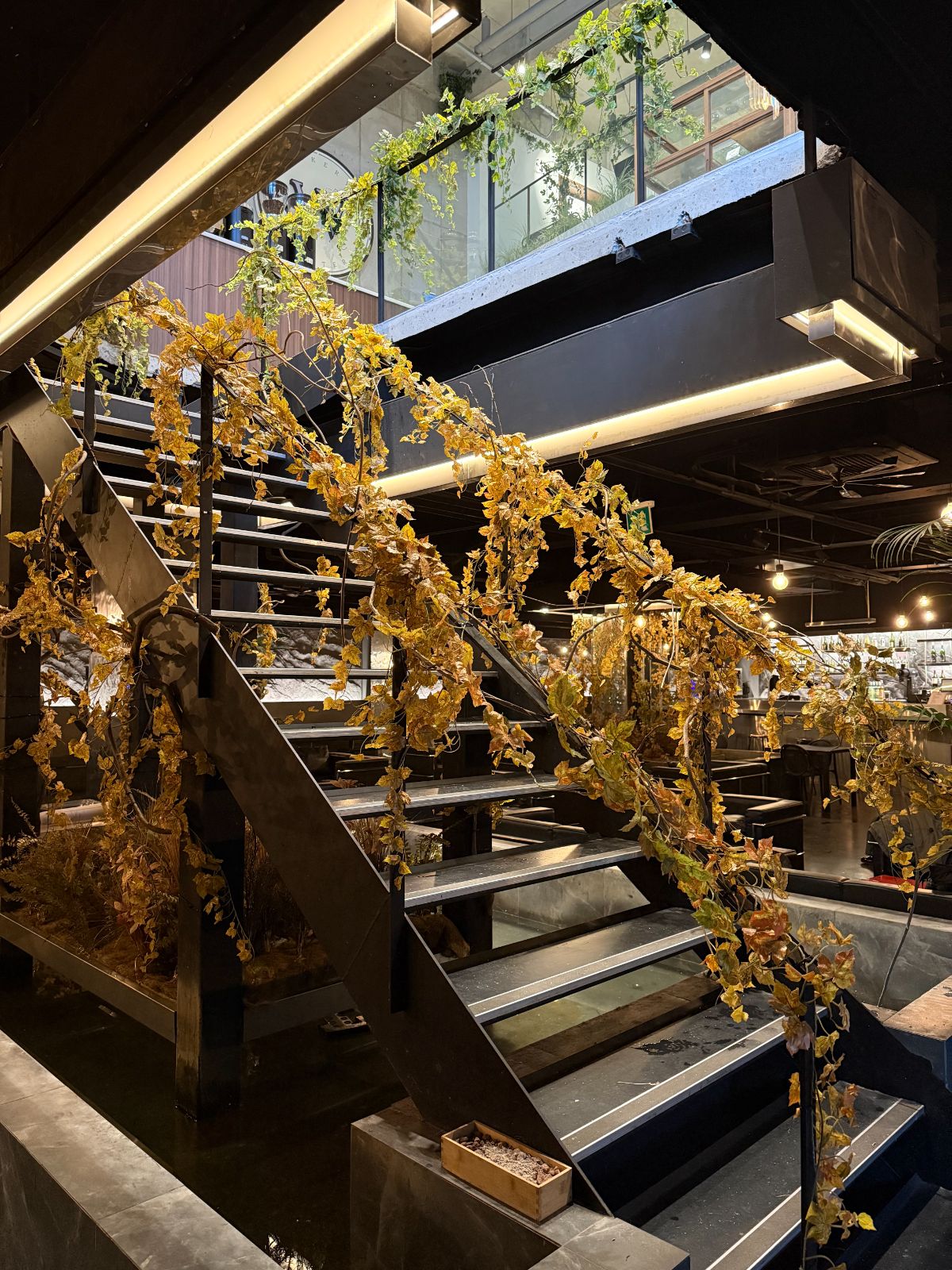 W.ON Cafe interior planting with reflecting pool