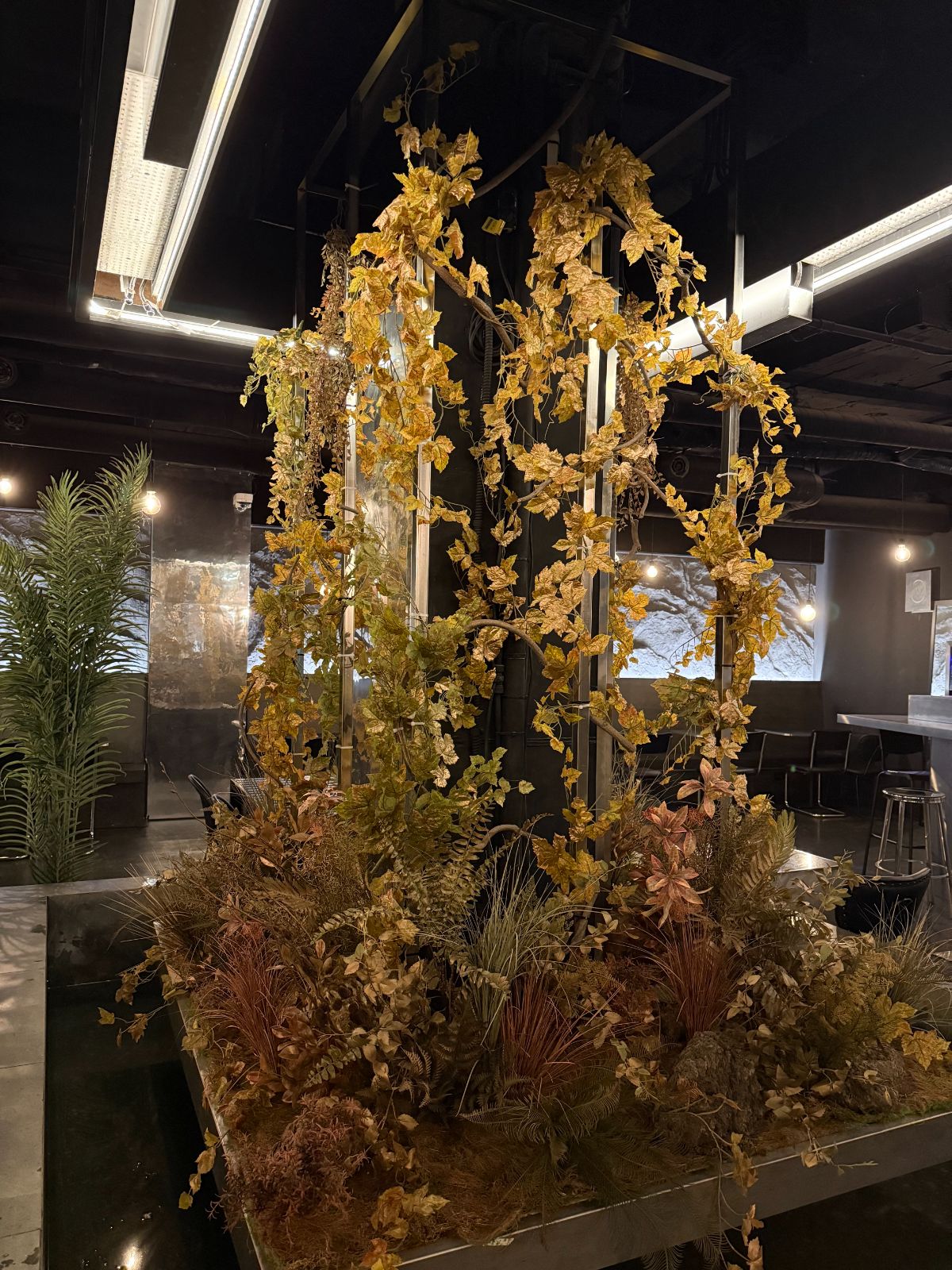 W.ON Cafe interior planting with reflecting pool