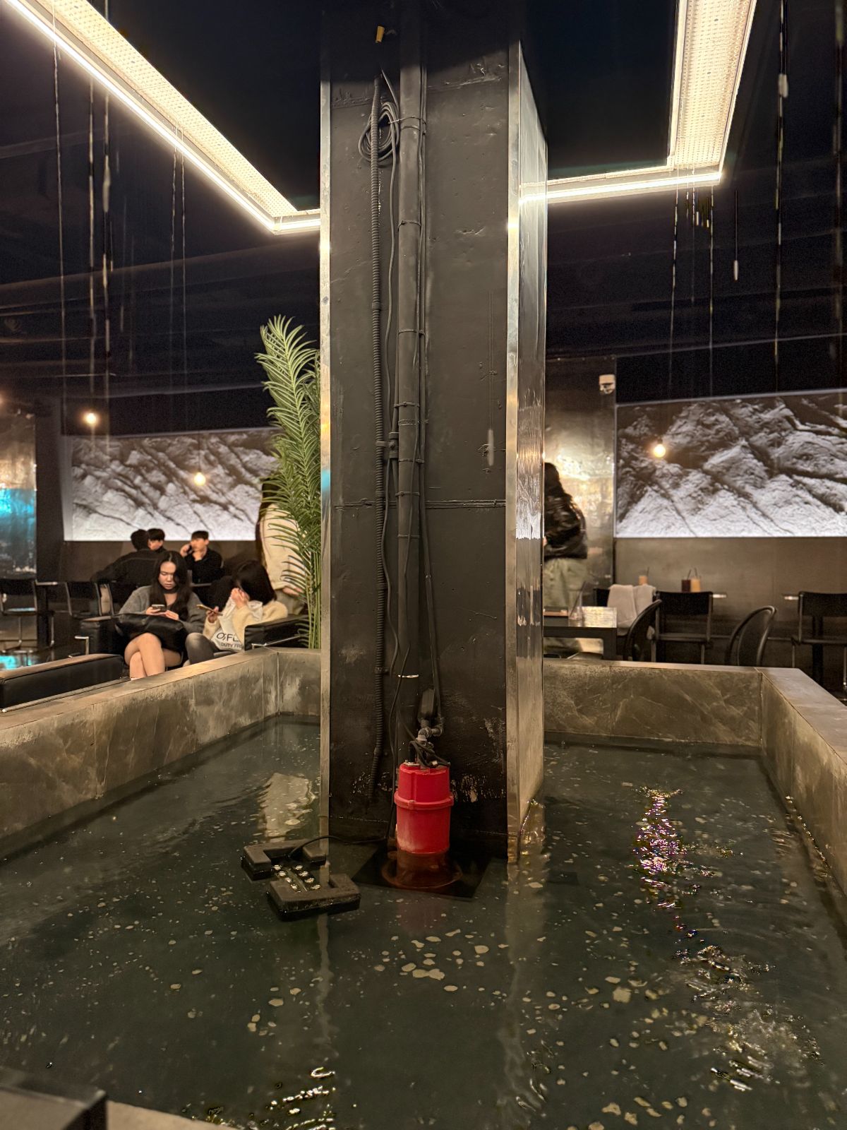 W.ON Cafe interior planting with reflecting pool