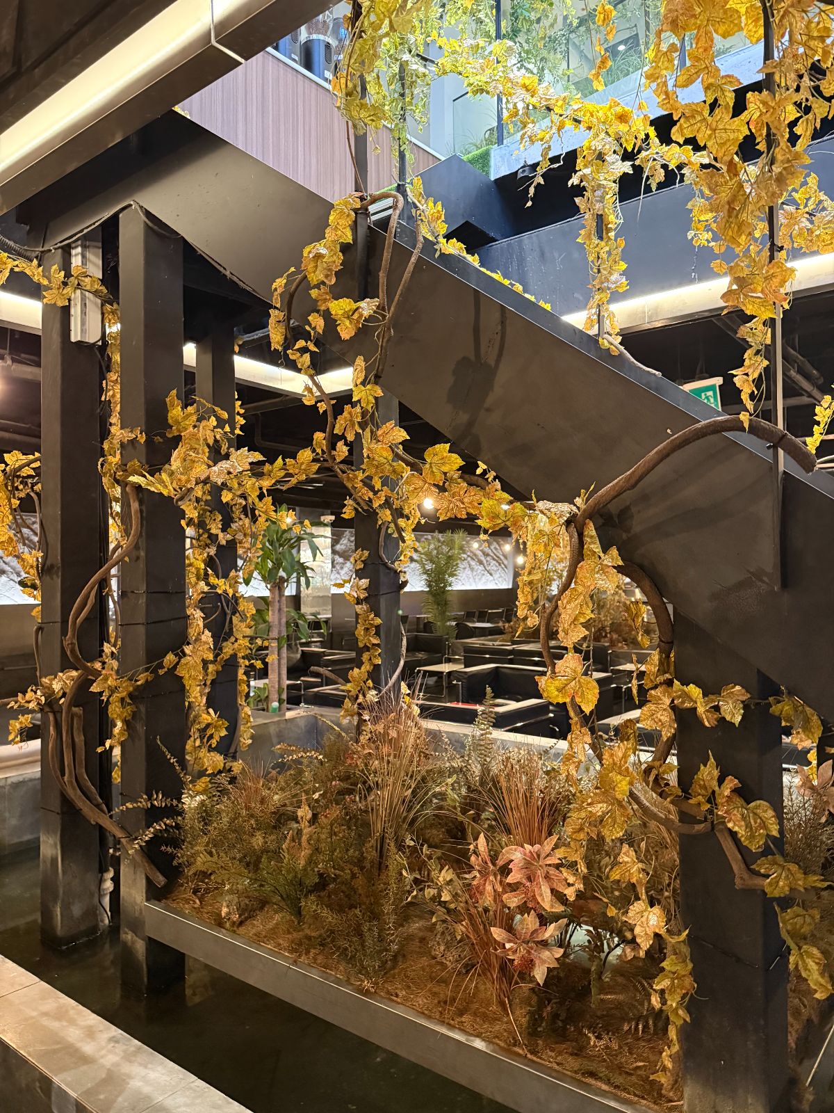 W.ON Cafe interior planting with reflecting pool